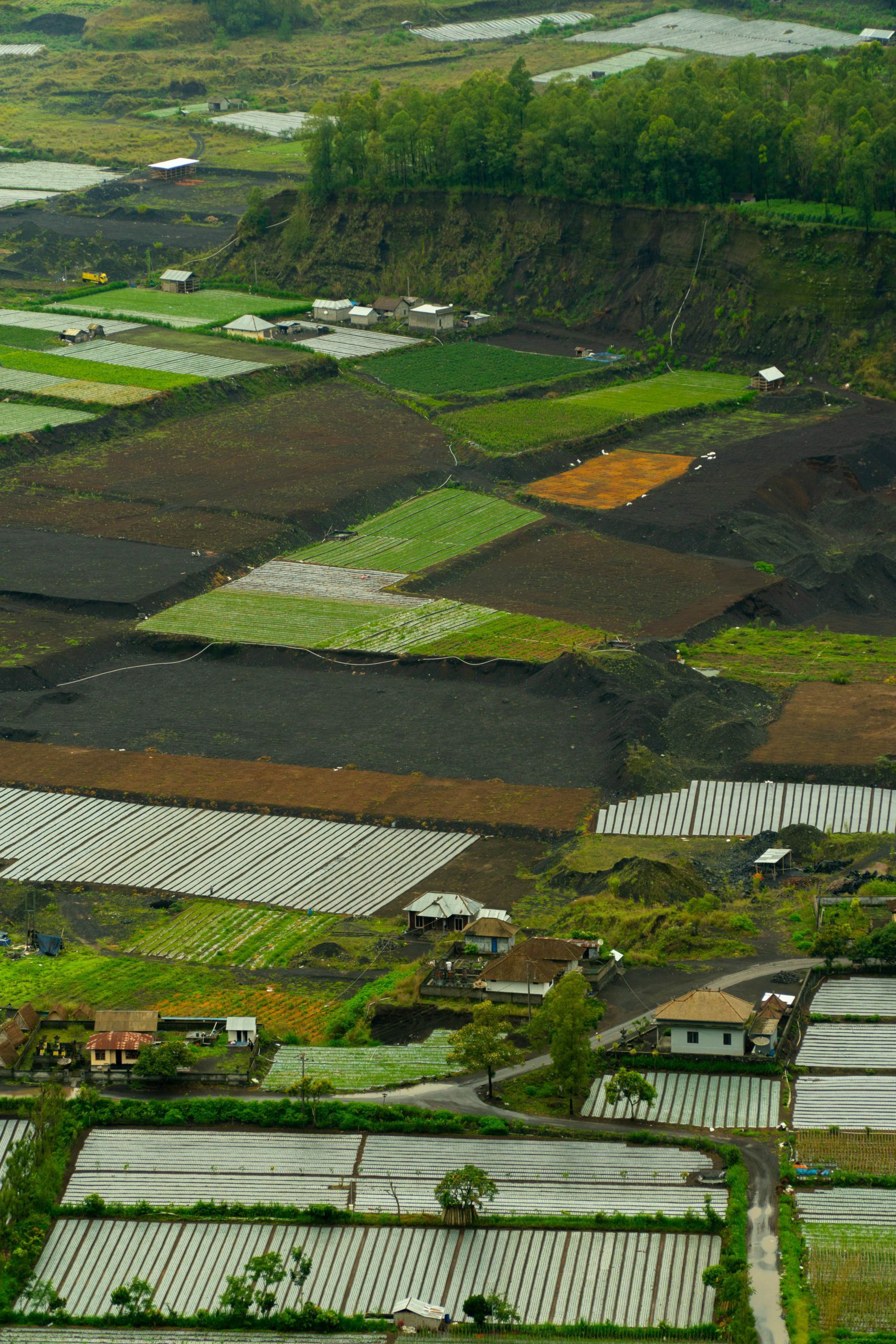 Drone image of farm