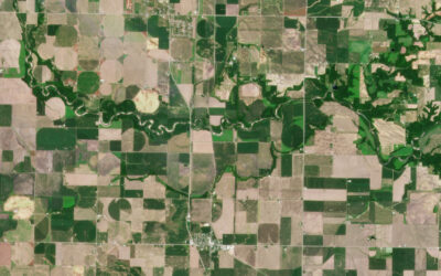 From Space to Field: the Emerging Power of Satellite Imagery